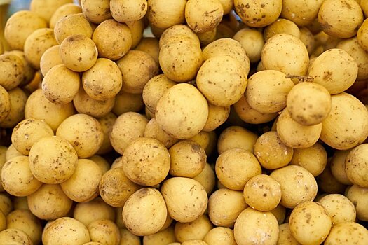 В Московской области собрали более 170 тысяч тонн картофеля