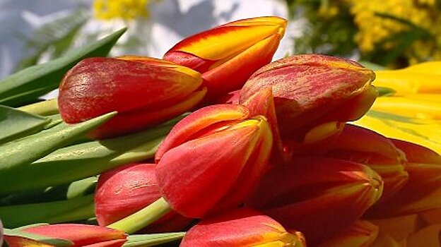 Пензенцы поздравили женщин с праздником 8 Марта