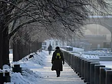 В России для мигрантов предлагают ввести еще один запрет