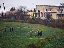 Полковник объяснил решение Запада встать на сторону России в инциденте в Польше