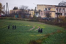 Полковник объяснил решение Запада встать на сторону России в инциденте в Польше