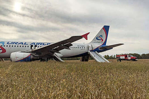 Минздрав: 5 человек из экстренно севшего на грунт самолета обратились к врачам