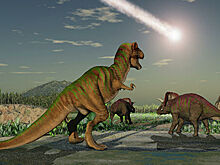 Обнаружен крохотный предок динозавров