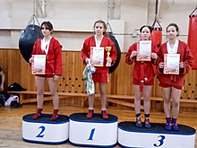 Участниками турнира по самбо стали спортсмены из Роговского