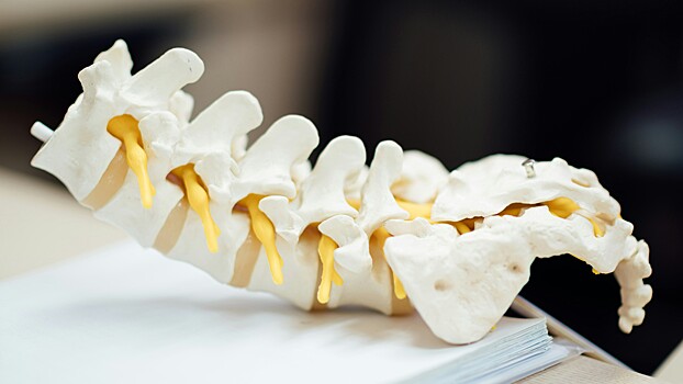 Разработано приложение, диагностирующее сколиоз с помощью смартфона