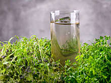 Депутат ГД Вассерман: эффективность народной медицины зависит от ее восприятия