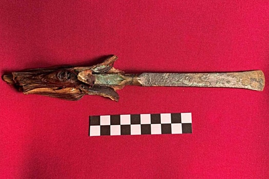 Потрясающе сохранившееся орудие бронзового века раскопано в Италии