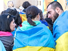 IFO: менее 50% украинцев готовы вернуться домой