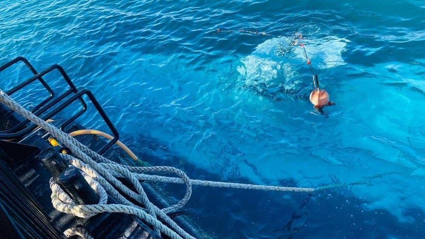 Минздрав Египта: шестеро погибли, 23 человека пострадали при ЧП с батискафом