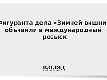 В международный розыск объявлен один из фигурантов дела «Зимней вишни»