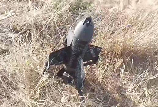 В Крыму испытали дрон «Архангел»