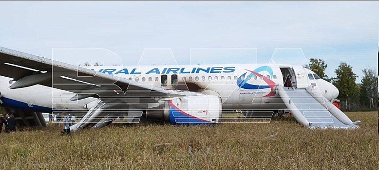 Аварийно севший самолет под Новосибирском могут эвакуировать по замерзшему полю
