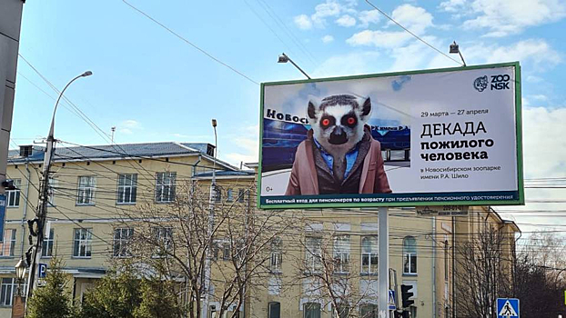 Красноглазый лемур-пенсионер рекламирует Новосибирский зоопарк