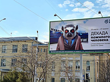 Красноглазый лемур-пенсионер рекламирует Новосибирский зоопарк