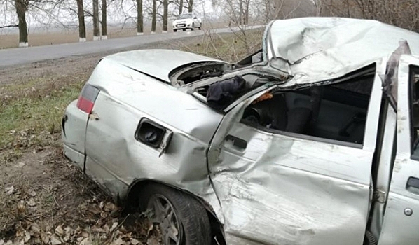 В Воронежской области пьяный водитель «Лады» протаранил дерево: пострадали 4 человека