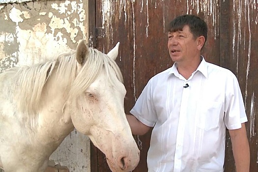 В Талдыкоргане вывели новый тип казахской породы лошадей