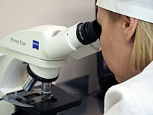 Провинция Аргентины хочет расширить партнерство с Россией в научной сфере