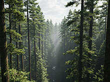 Климат, деньги и судьба планеты: зачем мир снова собрался в Бразилии