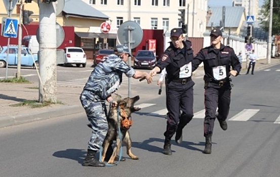 В Костроме полицейские отметят 74-летие ОВД на бегу