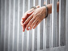 В Челябинской области задержали подозреваемого в убийстве 11-летней девочки