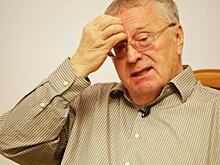 Жириновский задекларировал наибольший среди депутатов доход