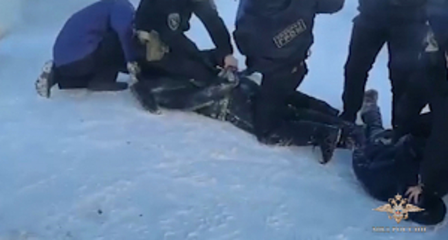 В Якутии полицейские задержали предполагаемых участников межрегионального преступного сообщества наркосбытчиков