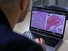 Разрушаем мифы: секреты успешного внедрения IT-инноваций в повседневную жизнь