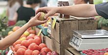 Власти Ростовской области ввели мониторинг цен на фрукты и овощи