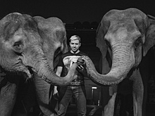 Мультимедиа и гаджеты уронили престиж артистов цирка – Дементьев-Корнилов