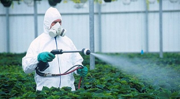 Врачи бьют тревогу: уровень пестицидов зашкаливает