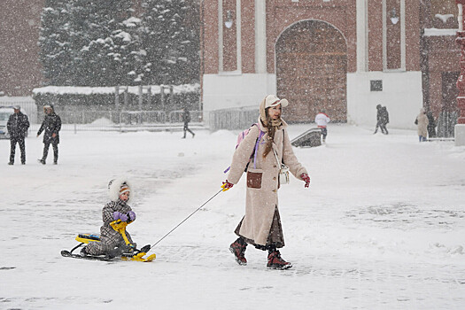 Москвичей предупредили о мокром снеге на выходных
