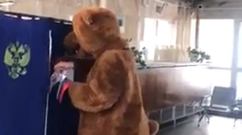 «Медведь» пришел проголосовать на выборах президента РФ в Бурятии