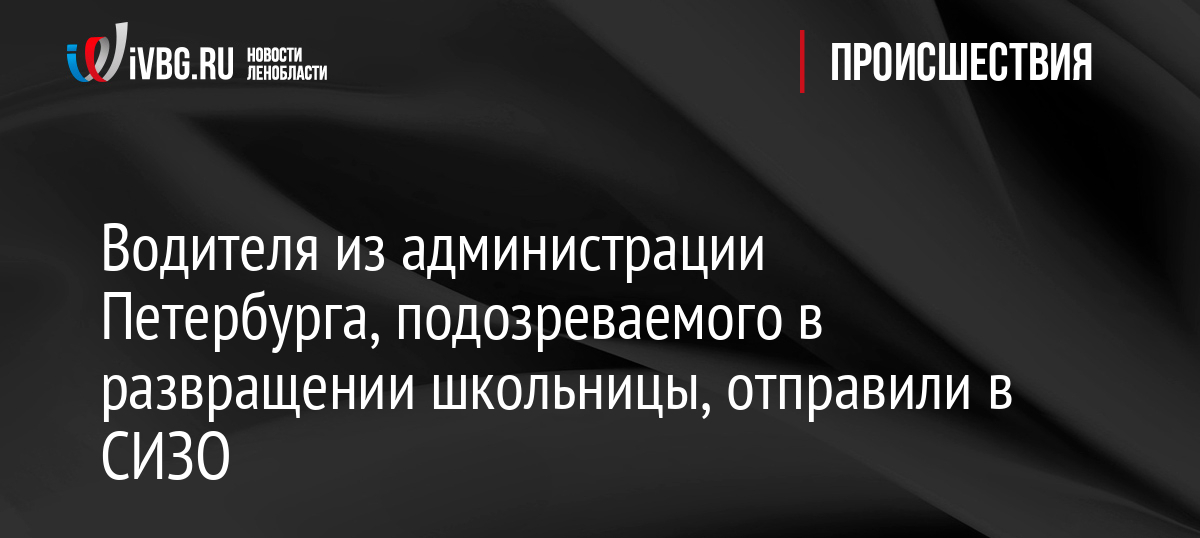 Водителя из администрации Петербурга, подозреваемого в развращении школьницы, отправили в СИЗО