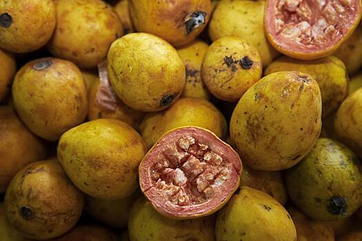 Биотехнолог рассказал, какая ягода обеспечит суточный запас йода