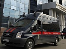 СК начал проверку по факту смерти пассажирки в Домодедово