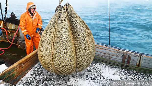 Биолог Байталюк: Рыболовный промысел России в 2025 году поставит новые рекорды