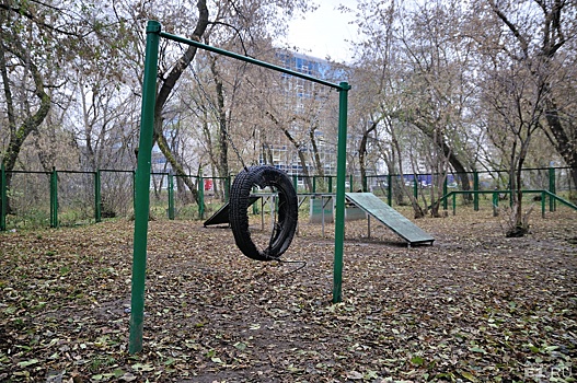 Парки и скверы Екатеринбурга в конце месяца начнут обрабатывать от клещей