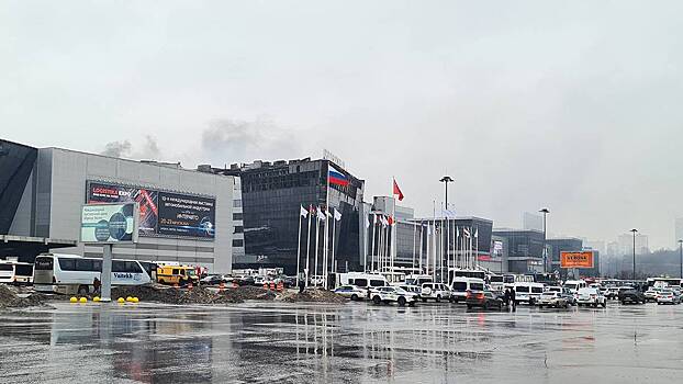 Модельное агентство подтвердило гибель «Мисс Тверь — 2001» при теракте в «Крокусе»