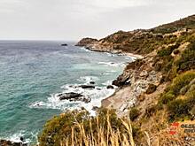 Пока свердловские женщины мечтают об отпуске на море, мужчины не собираются выходить из дома