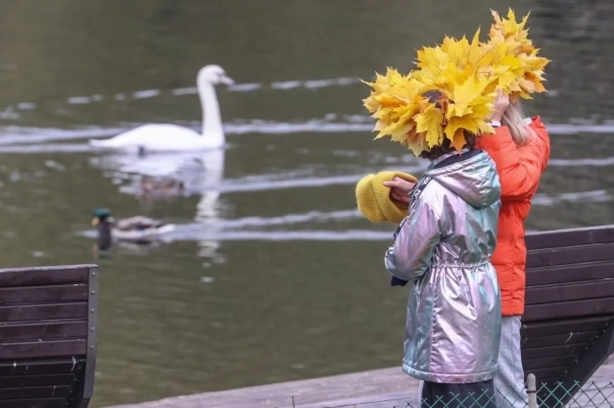 Синоптик рассказал, когда в средней полосе России будет бабье лето