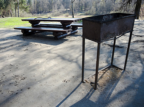 Пожарившие шашлык на улице Петербурга блогеры обратились к горожанам