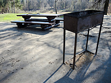 Пожарившие шашлык на улице Петербурга блогеры обратились к горожанам