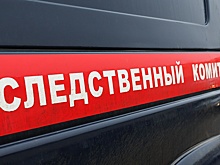 Двухлетний ребенок во время игры с отцом утонул в выгребной яме под Иркутском