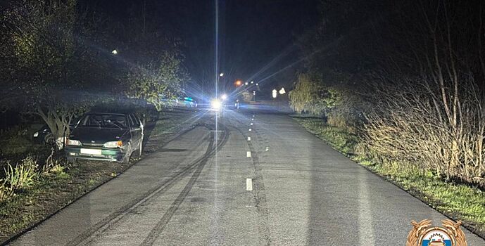 В Чертковском районе в ДТП пострадал пешеход