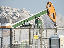 Цена на нефть упала ниже 45 долларов из-за результатов выборов в США