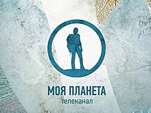 «Цифровое телевидение» доверит рекламу Национальному рекламному альянсу