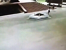 «Потушили Вечный огонь»: что будет с кубанскими хулиганами