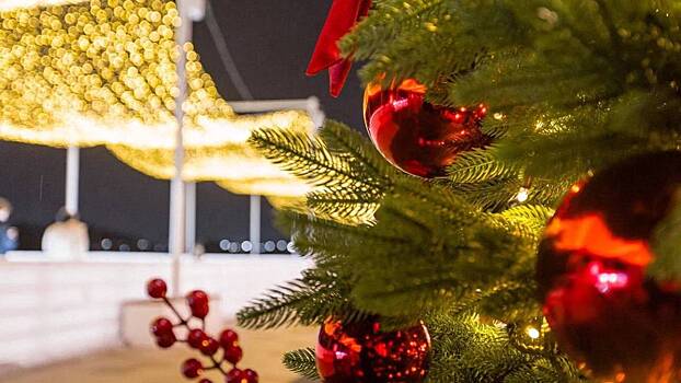 Катки в «Коломенском» продлят работу в новогоднюю ночь