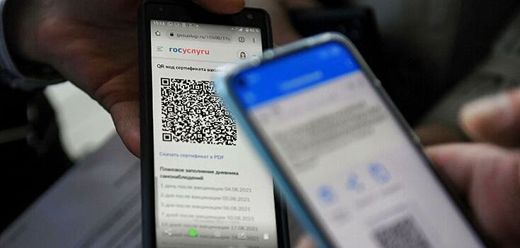 В Ульяновской области с 8 ноября начнет действовать система QR-кодов