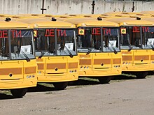 В Пскове средний возраст городских автобусов достиг 14 лет